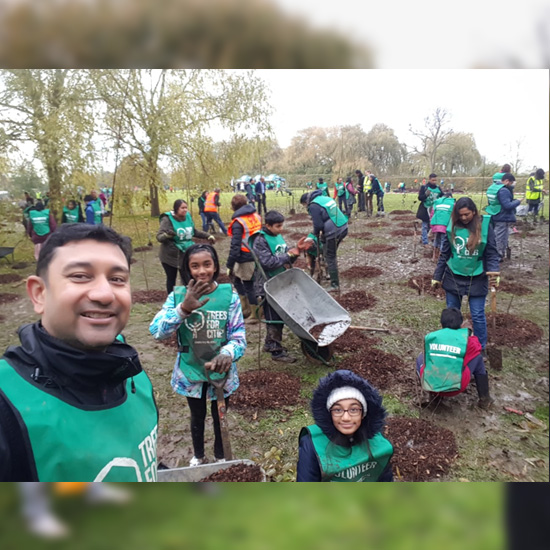 UK Tree Planting