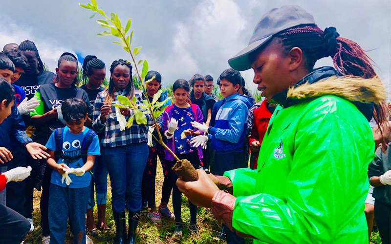 kenya planting