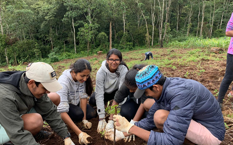 kenya planting