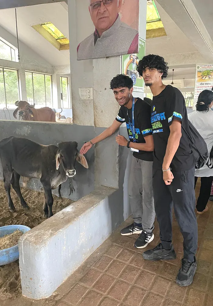 Culture, Learning & Exploration