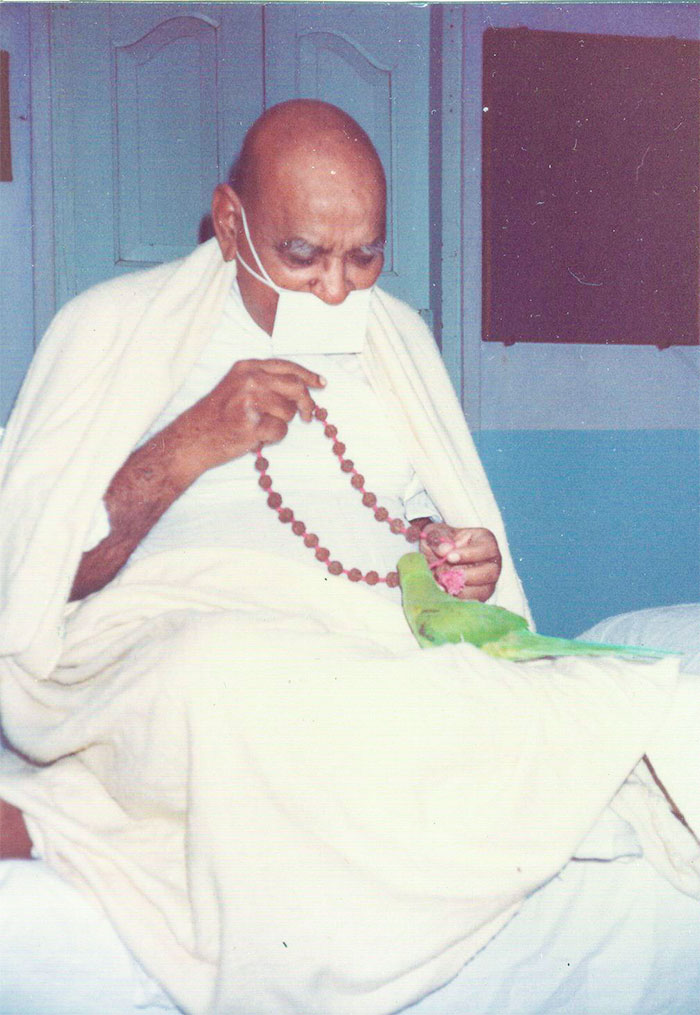 Celebration of 121st Birth Anniversary of Gurudev Upadhyaya Shri Amar Muniji Maharaj