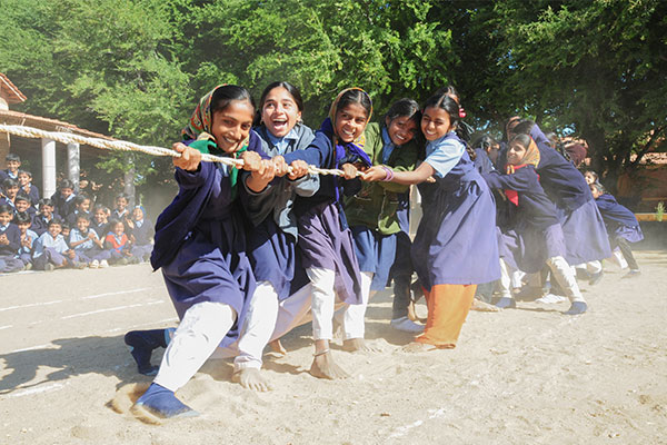 Desperation grown into a gigantic tree of educational excellence
