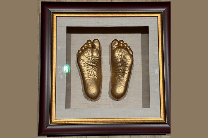 A precious gift from Shri Abhaybhai Firodia