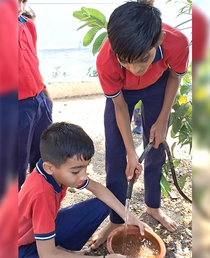 Seva: Fostering Compassion Towards Nature
