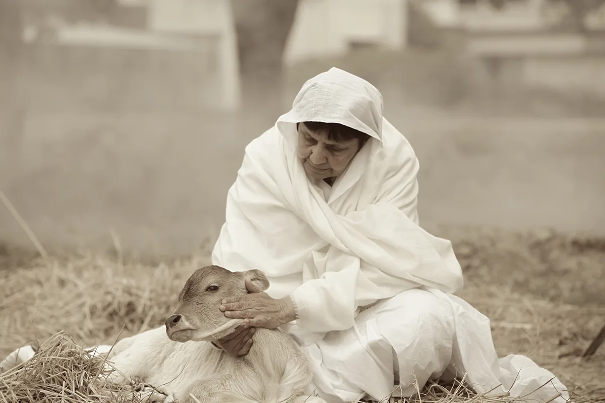 She sensed the pain of an injured cow from afar.