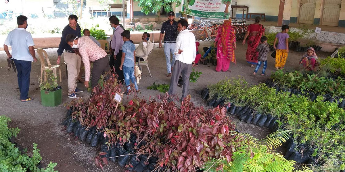 Tree planting programme reaching great heights!