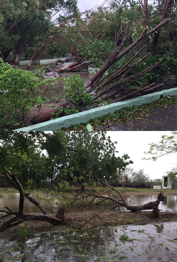 Devastating cyclone hits Kutch