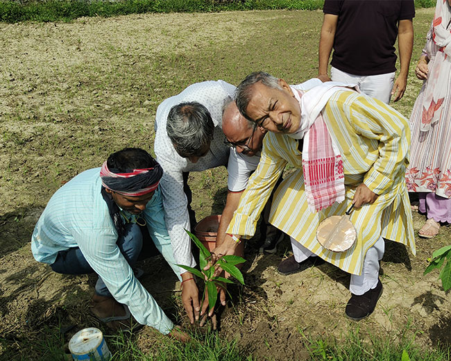 The sacred tree planting event