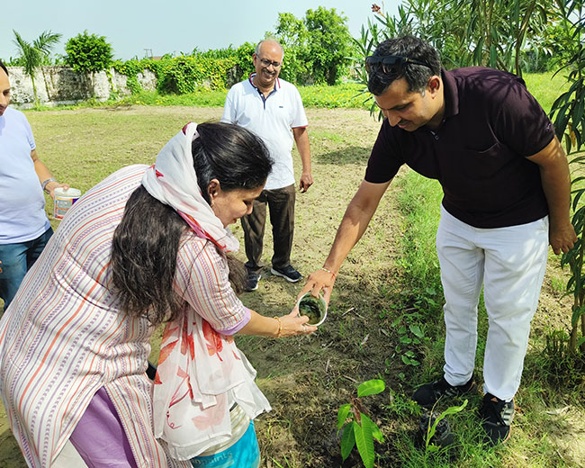 The sacred tree planting event