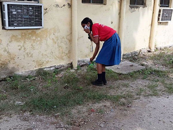 Annual Diwali Cleanup in Pawapuri