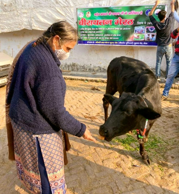 Veerayatan Meerut